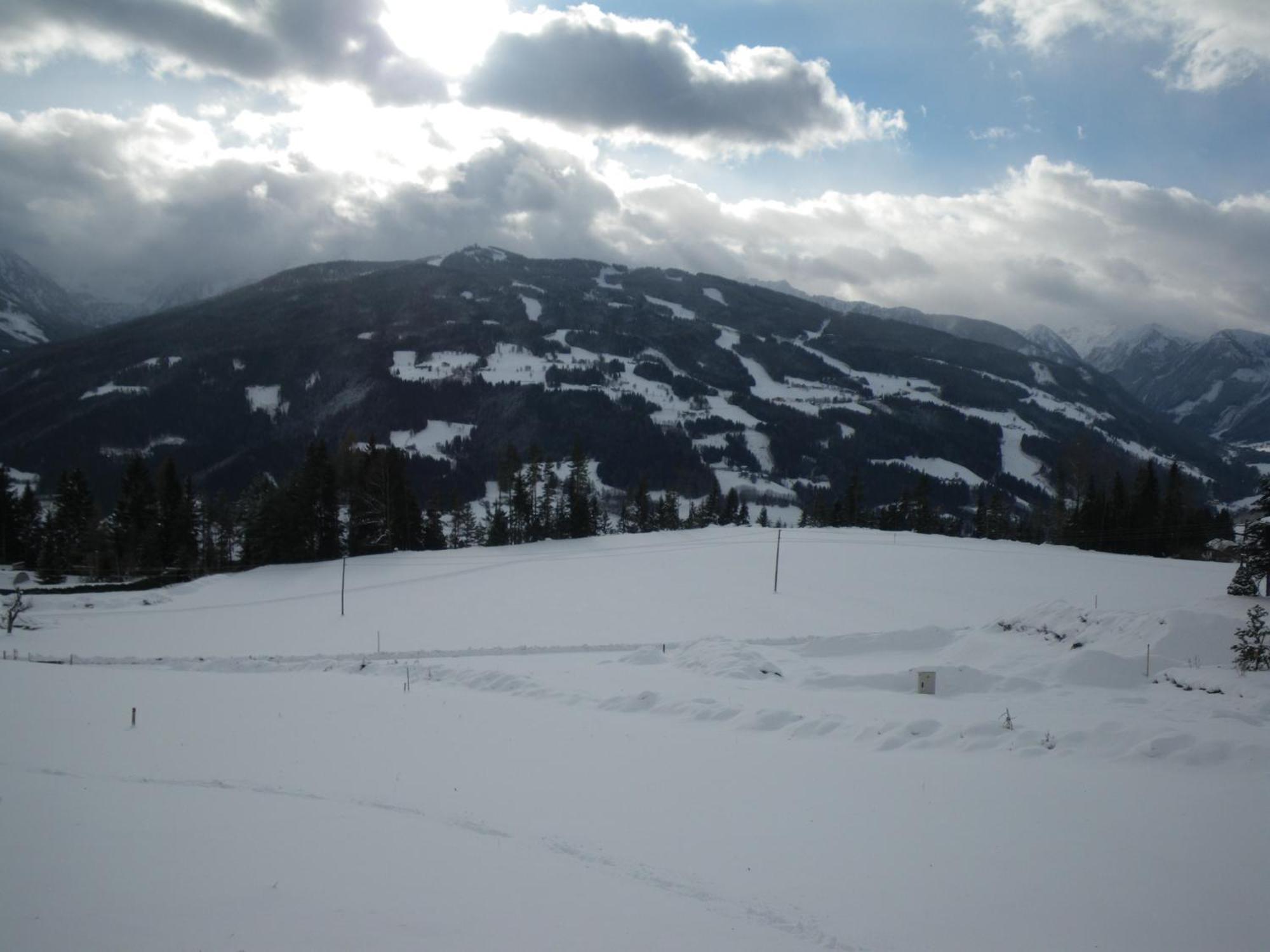 Austrian Alpine Apartments Ramsau am Dachstein Esterno foto